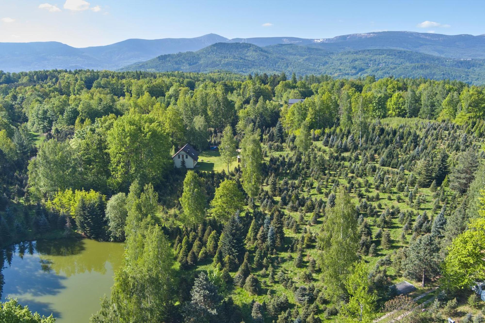 Agroturystyka - Srebrny Las Staniszow Exterior foto